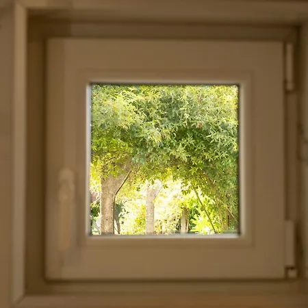 Cantinho Dos Avos - Local Apartment Canas de Senhorim