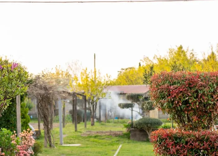 Apartmán Cantinho Dos Avos - Local *